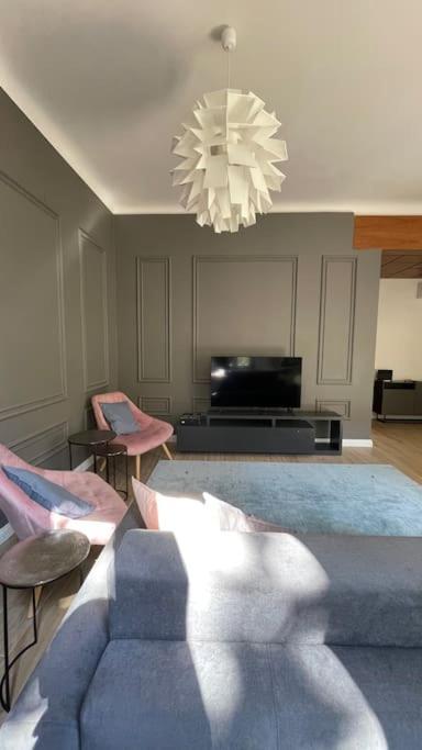 Trastevere Design Apartment ローマ エクステリア 写真